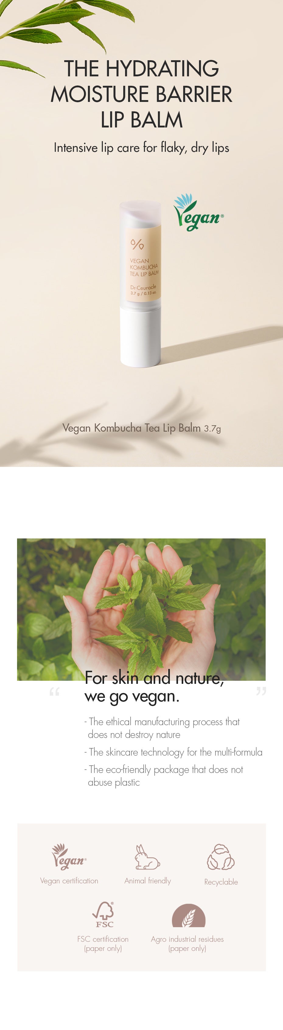 Dr. Ceuracle Veganer Kombucha-Tee-Lippenbalsam